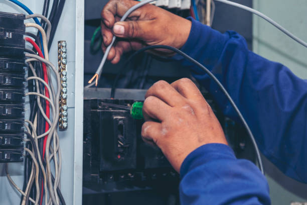 Best Electric Panel Repair  in Waseca, MN