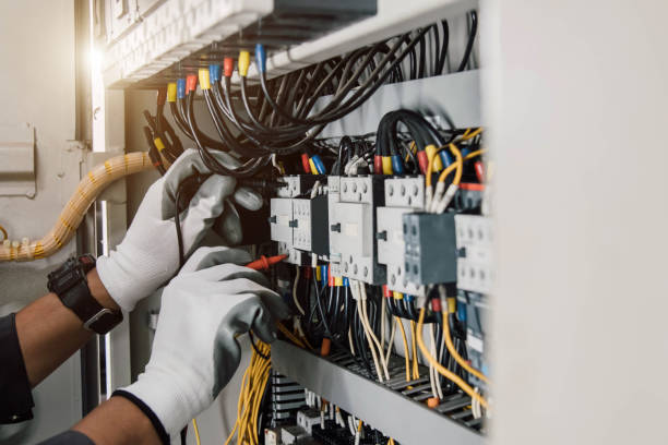 Best Electrical Upgrades for Homes  in Waseca, MN
